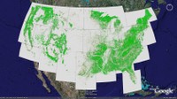 Forest spatial patterns in Google Earth
