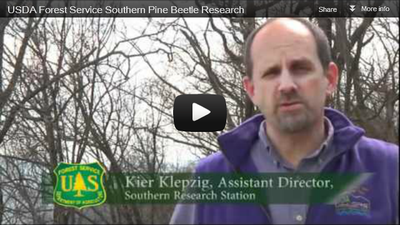 SRS Southern Pine Beetle Research
