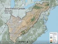 Total_forest_carbon_density.jpg
